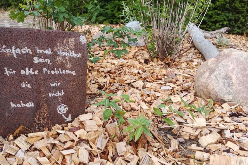 Kleine Ferienwohnung mit Hund - foto 12