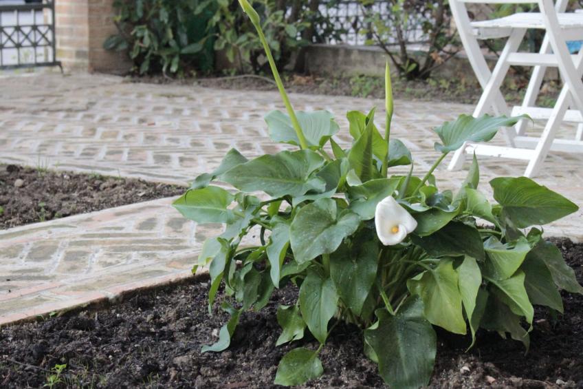 "Daphne Experience". - foto 44