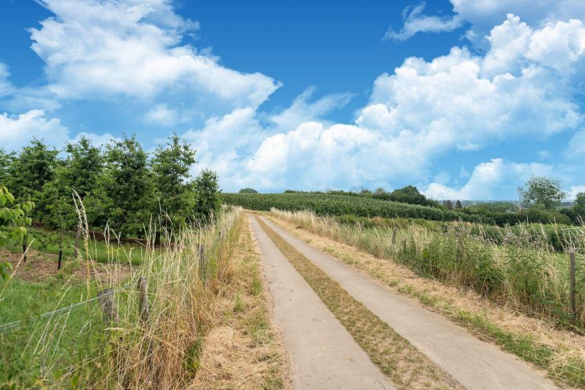 Huis Dries - foto 35