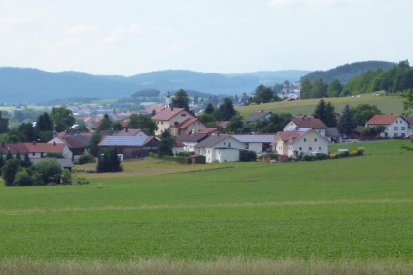 49549 - foto 13