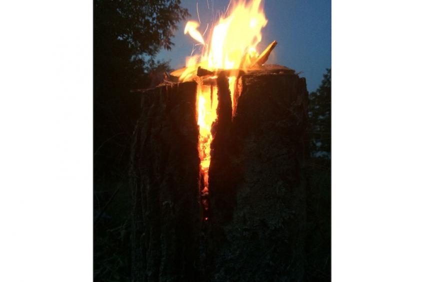 217296 - foto 6