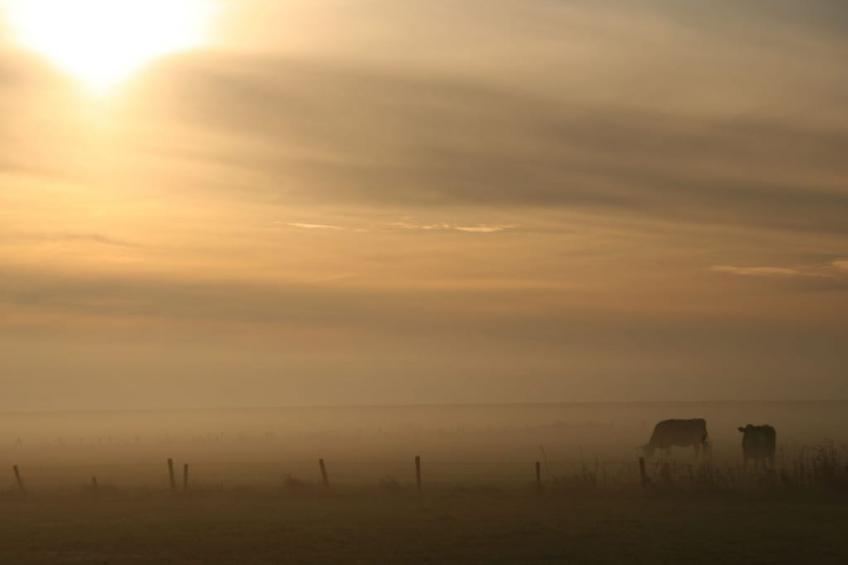 137033 - foto 11