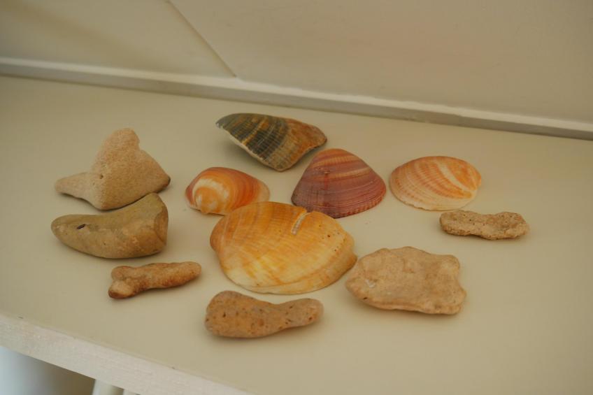 Kleine Nachtegaal - foto 26