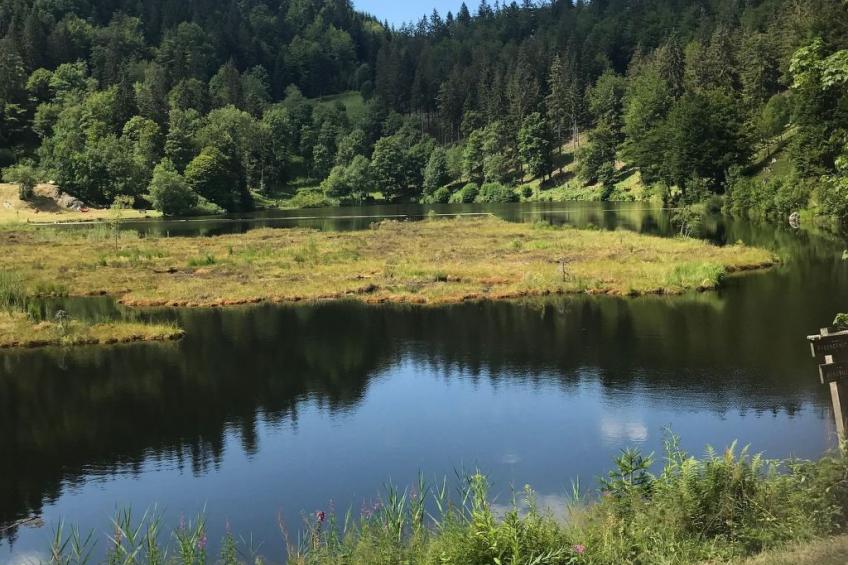 Haus Sonnenschein - foto 27