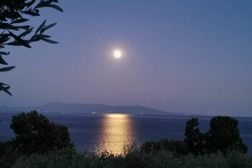 Olivia Sea Cottage - foto 28