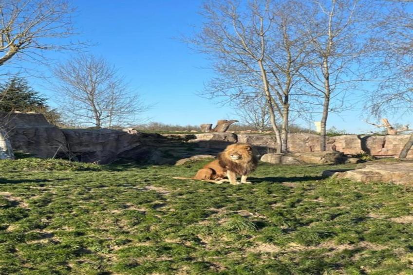 Gite de caractère - foto 29