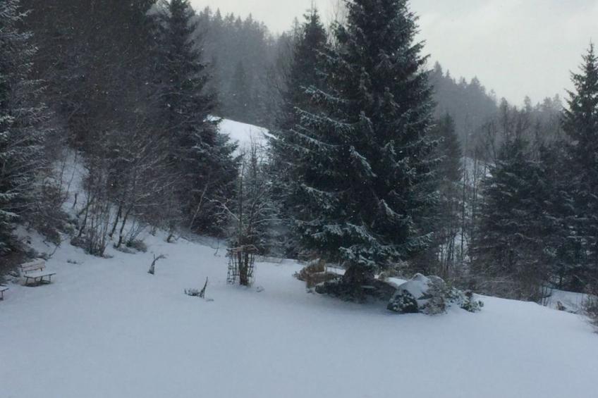 in Frauenberg mit Garten - foto 5