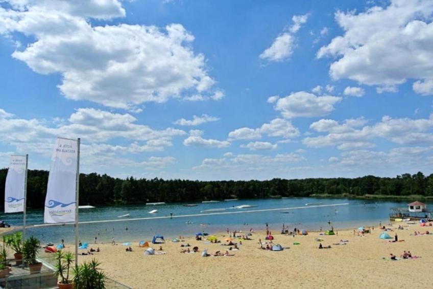 Forest chalet - foto 15