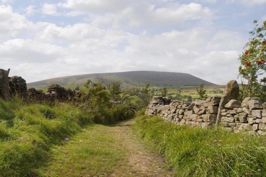 Five Waterings - foto 35