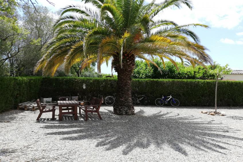 LES PALMERES 43 - foto 25