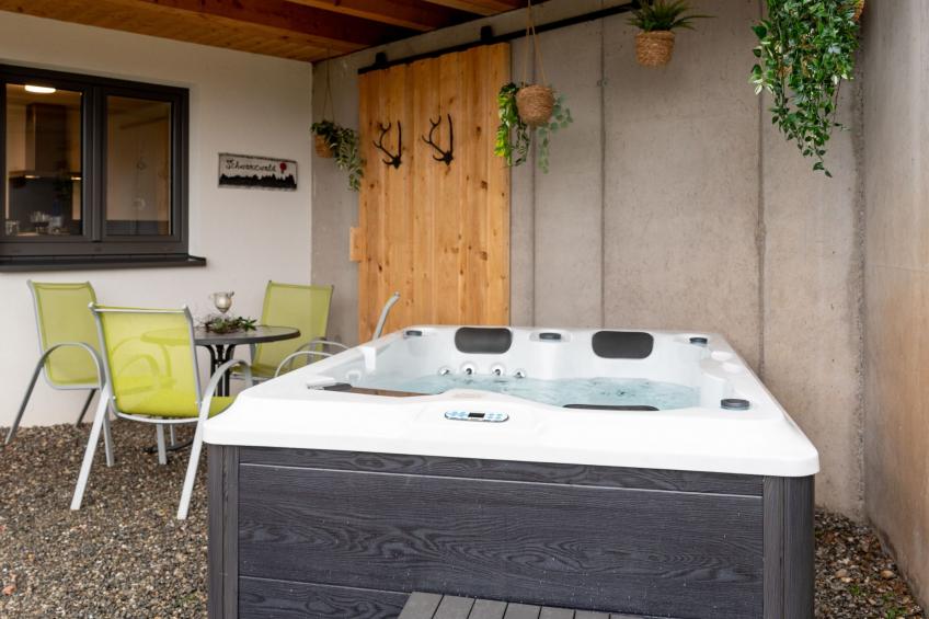 Haus mit Whirlpool, Sauna und Schwarzwaldblick - foto 24