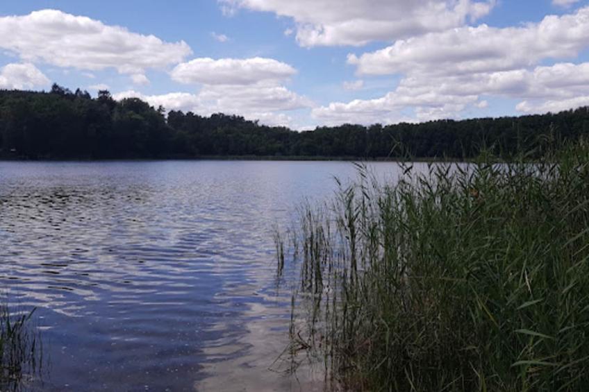 Bungalows am Vordersee, Dobbrikow - foto 33