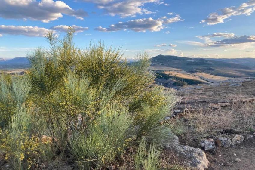 La Cocineta - foto 39