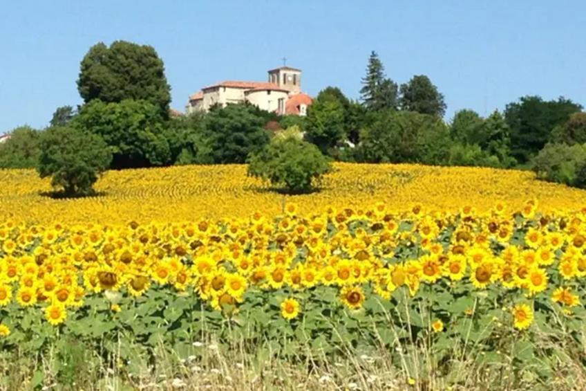 La Nit de la Fontaine - foto 15