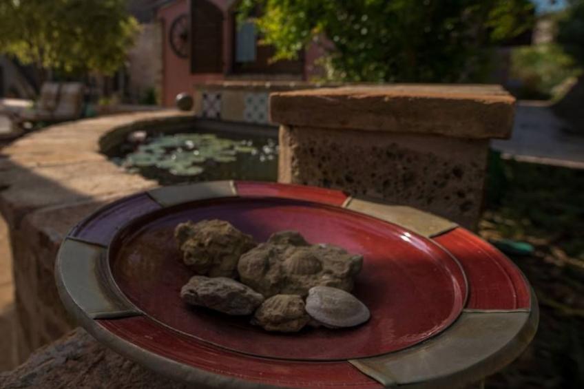 Villa mit Pool für 29 Personen ca. 800 m2 - foto 21