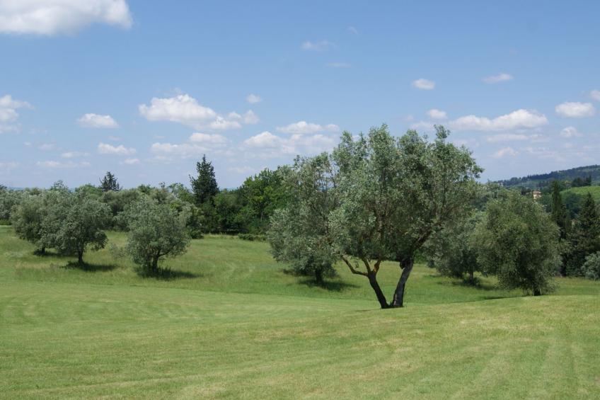 Wohnung mit Privatparkplatz und schöner Aussicht - foto 42