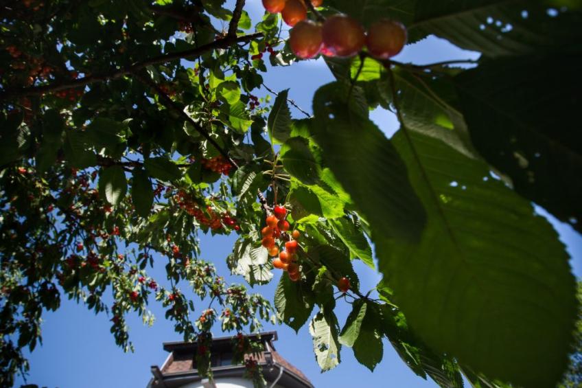 Windmill Ryn - Premium-Ferienhaus - foto 2