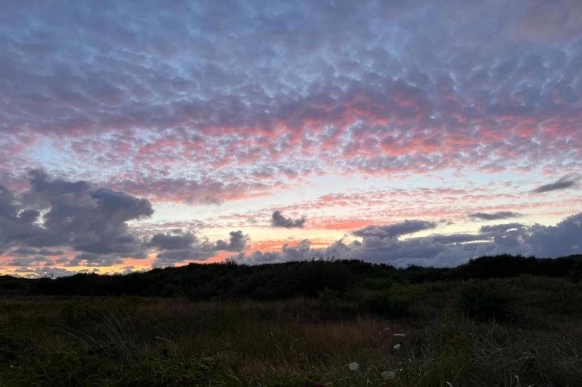 Villapark De Koog 2 - foto 30