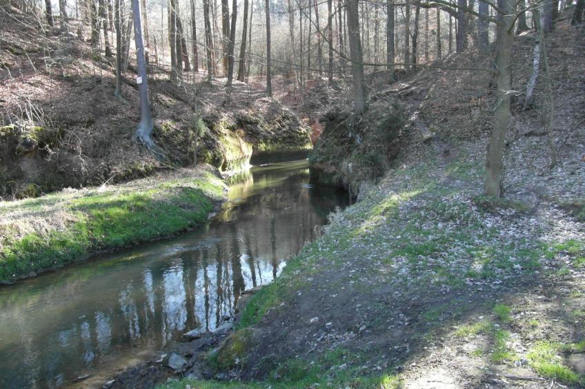 Traditionelles Haus, umgeben von Wäldern in Ralsko - foto 29