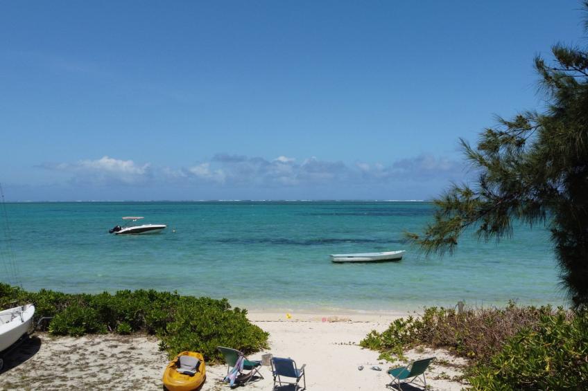 mit Blick auf das Wasser - foto 2