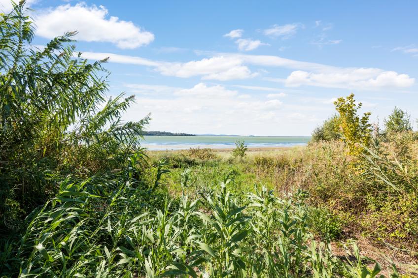 La Rocca Residence - foto 27