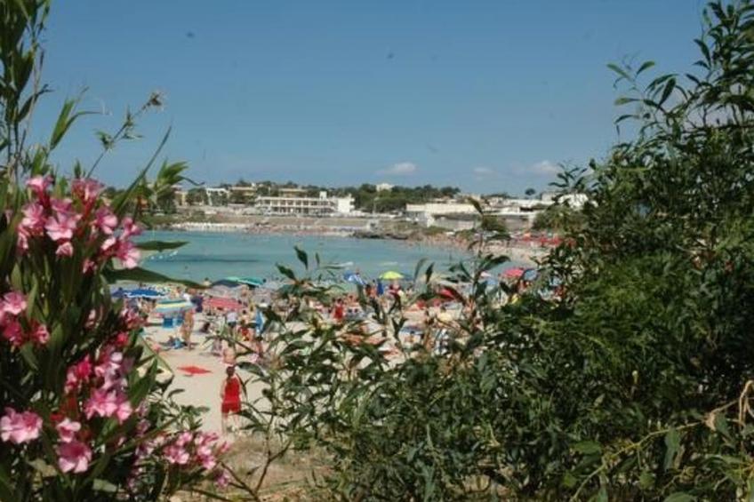 in Marina di Pulsano - foto 12