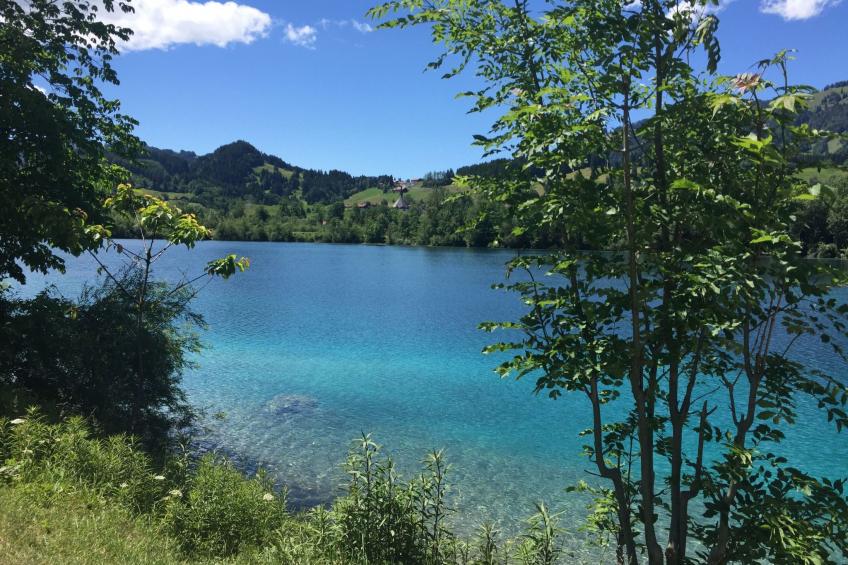 Fewo Bergblick lodge - foto 32