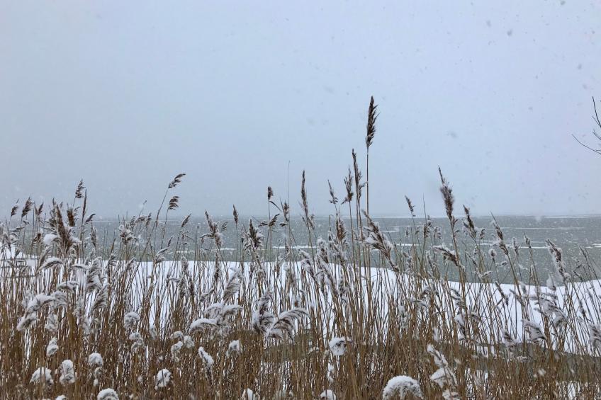 Wiesenblick 6 - foto 23