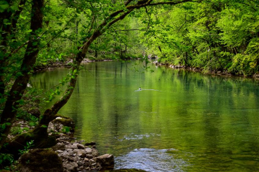 Makov Hrib - foto 24