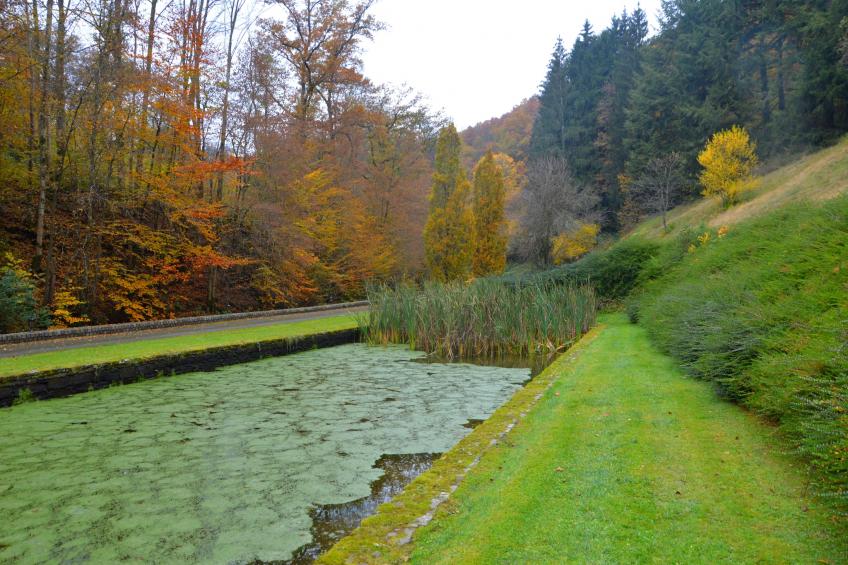 Le Vieux Moulin 22 - foto 35