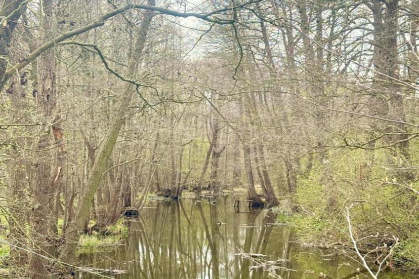 Holiday home Jedrek - foto 34