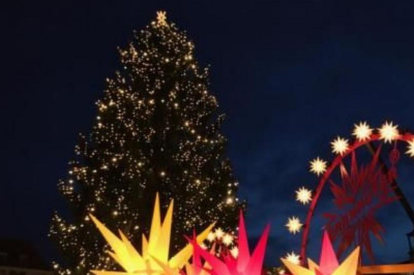 Fewo Natur und Kunst - foto 21