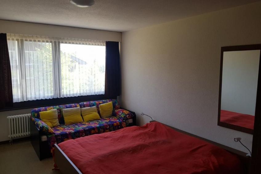 Steinadler - foto 11