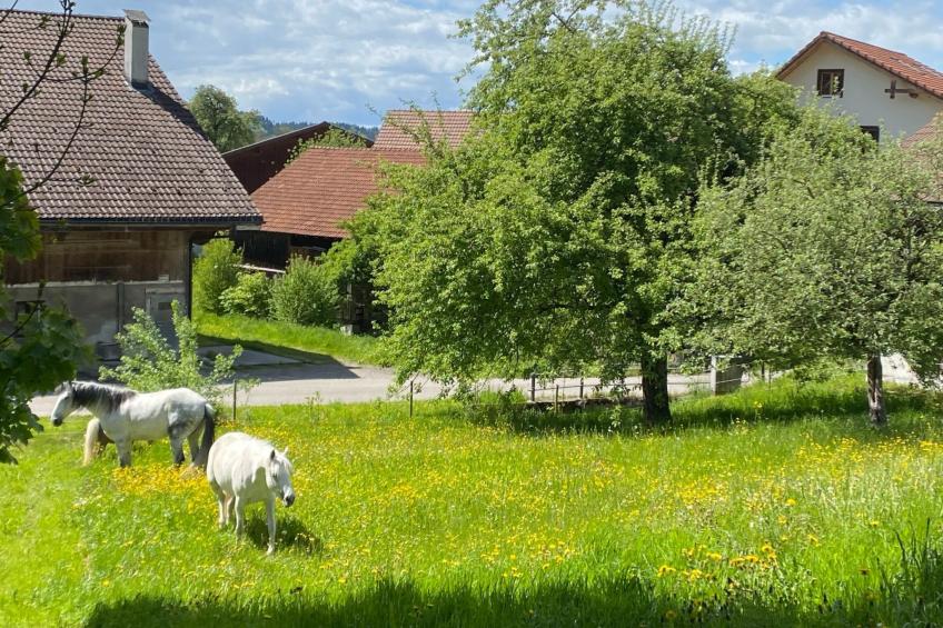 Ferien im Baudenkmal Mühle - foto 11