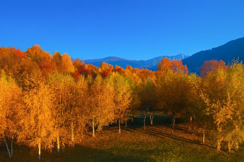 Villa Il Castagno - foto 28