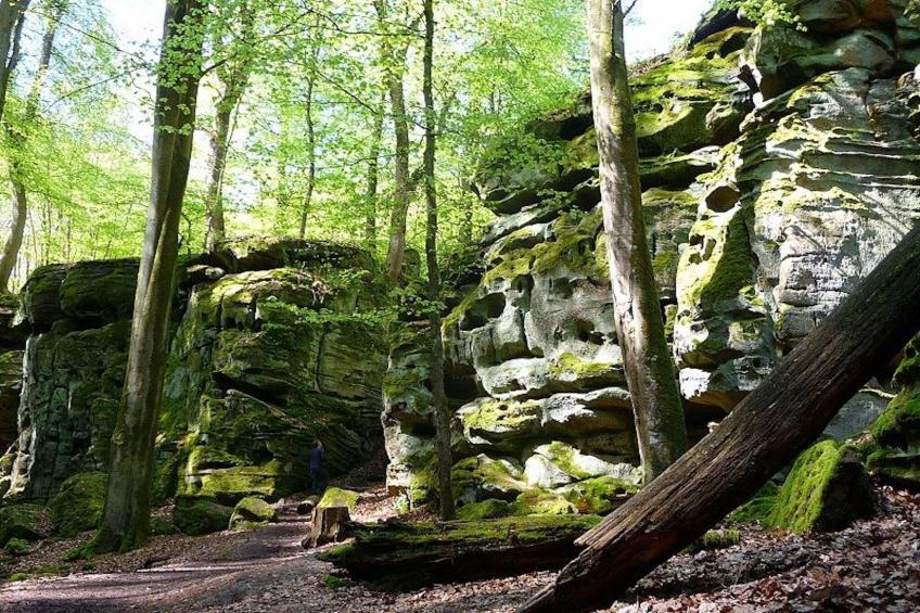 Familienhaus mit großer Wiese bei Bittburg - foto 19