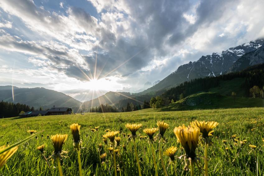 Chalet Schneelöwe L - foto 37