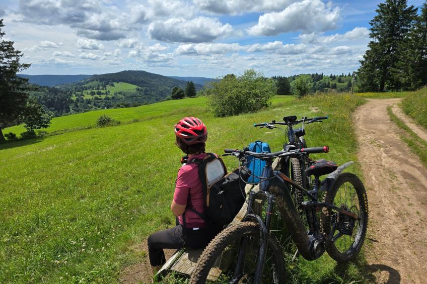 Le Chalet Sous Les Sapins, mit Swimmingpool, Sauna - foto 18