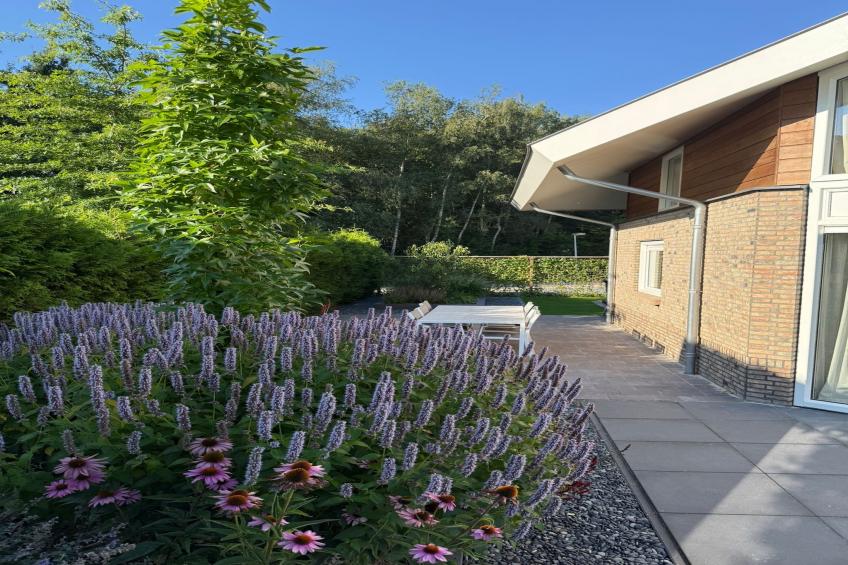 Holiday home Torenvalk - foto 31