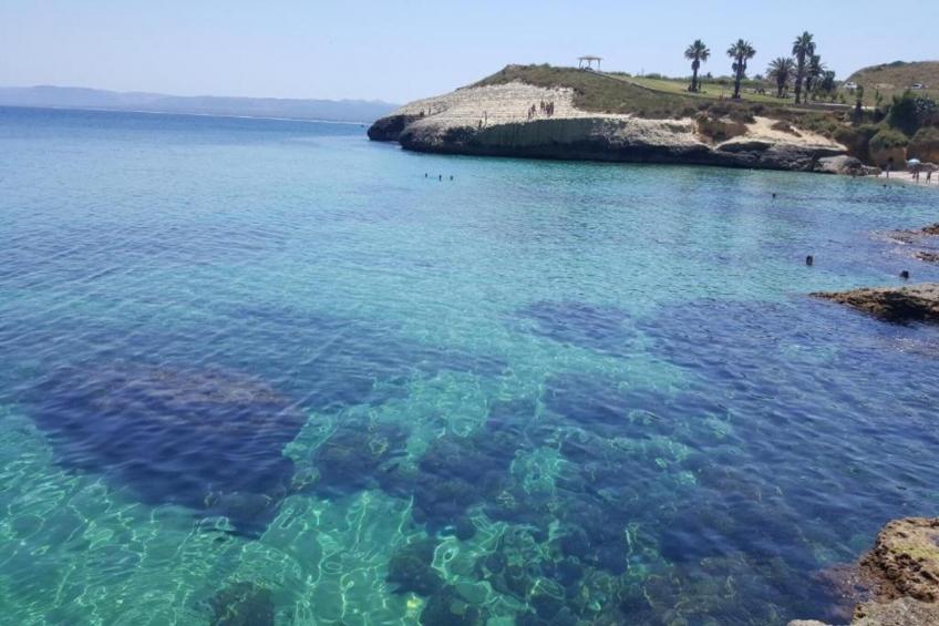 IL DELFINO - foto 40