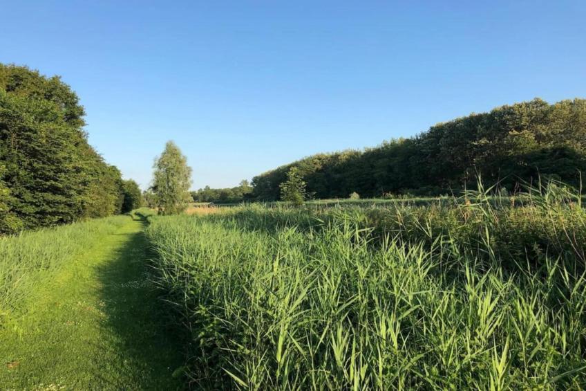 Resort de Parel 15 - foto 33