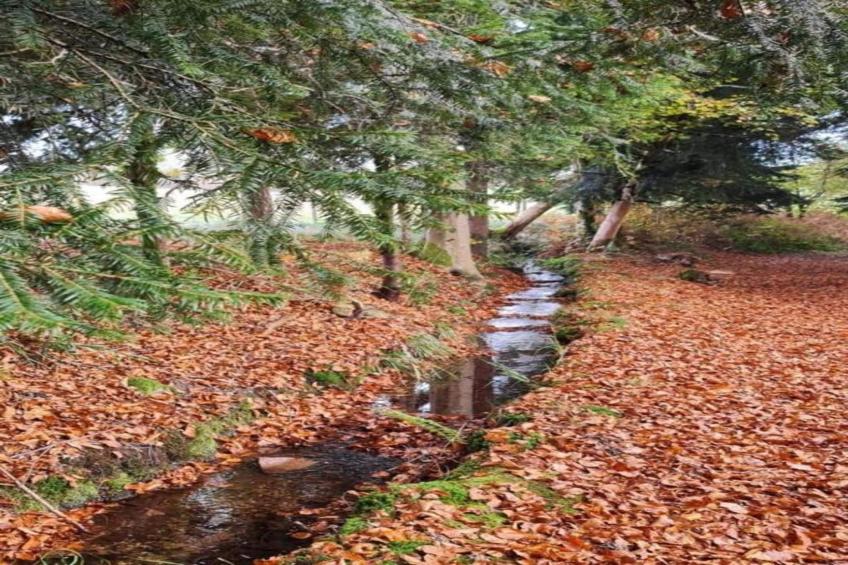 Maison de vacances - ESMOULIÈRES - foto 18