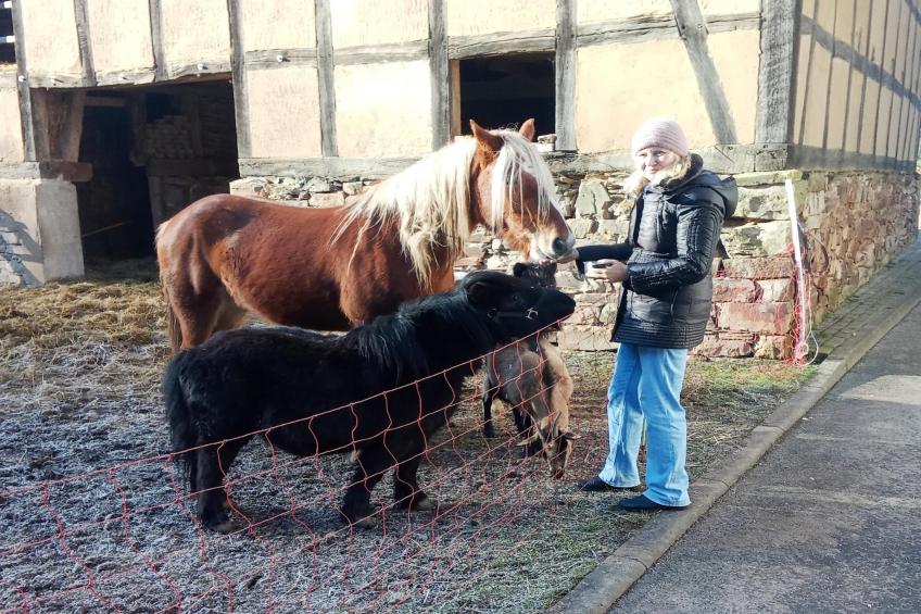 Am Ferienbauernhof - foto 35