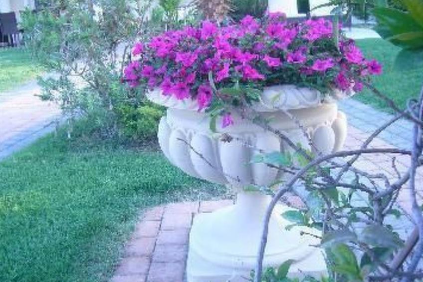 in Pallini mit Eigenem Balkon - foto 23