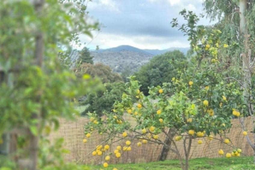 Neue Villa Myre 3, Privater Pool und 3 Wohnungen - foto 22