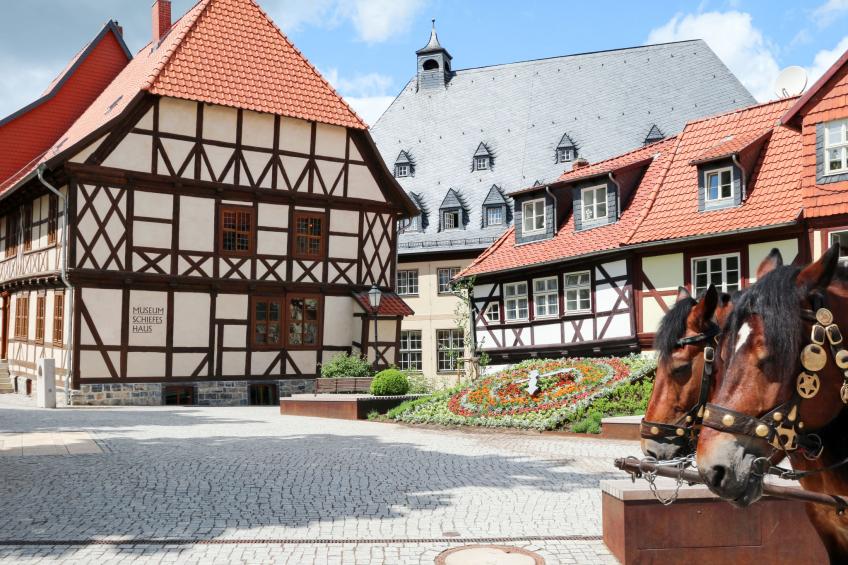 Gemütliche Wohnung in Wernigerode mit Garten - foto 30