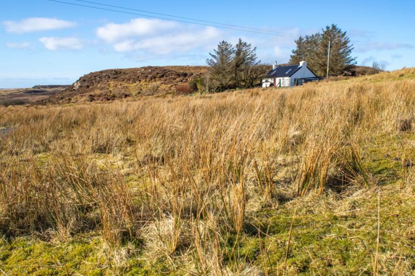 The Cottage - foto 47