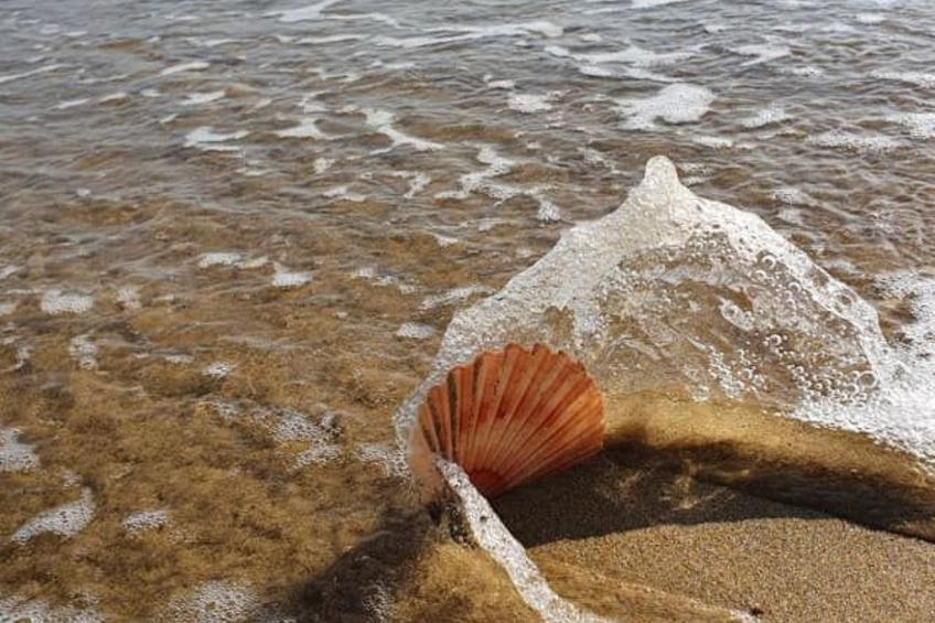 Mobilheim in idealer Lage in der Nähe aller Annehmlichkeiten - foto 8