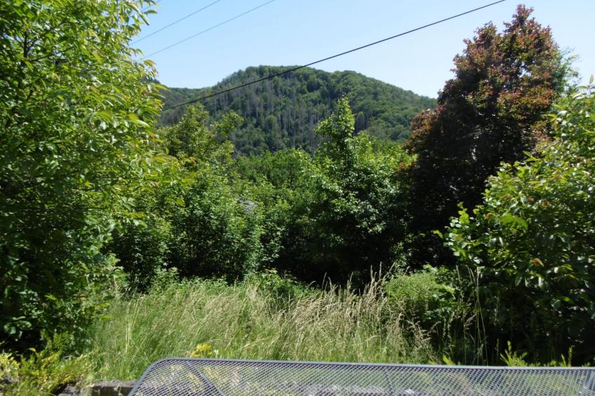 in Waldbreitbach mit Whirlpool - foto 12