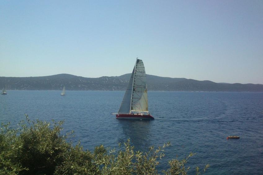 "Purple Sunset" - foto 43